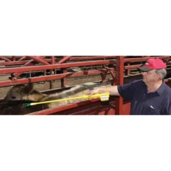 Springer Magrath Stock Prod -PBS Animal Health 11235 2