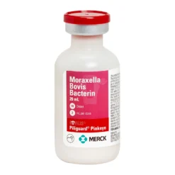 Bovilis Piliguard Pinkeye Cattle Vaccine