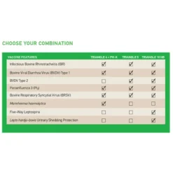 Triangle 4 + PH-K With Enhance Cattle Vaccine -PBS Animal Health 11433 2