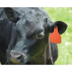 OPtimizer Insecticide Cattle Ear Tags 5 OPtimizer Insecticide Cattle Ear Tags -PBS Animal Health 11487 2