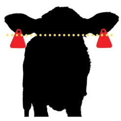 Double Barrel VP Insecticide Ear Tags -PBS Animal Health 11649 4