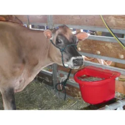 DuraMate Automatic Waterer With Plastic Cover -PBS Animal Health 11769 4