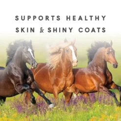 Sho-Glo Complete Vitamin + Mineral Horse Supplement 15 Sho-Glo Complete Vitamin + Mineral Horse Supplement -PBS Animal Health 11907 6
