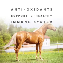 Sho-Glo Complete Vitamin + Mineral Horse Supplement 16 Sho-Glo Complete Vitamin + Mineral Horse Supplement -PBS Animal Health 11907 7
