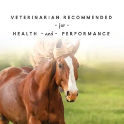 Sho-Glo Complete Vitamin + Mineral Horse Supplement 17 Sho-Glo Complete Vitamin + Mineral Horse Supplement -PBS Animal Health 11907 8