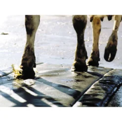 Hoof Treatment Mat 5 Hoof Treatment Mat -PBS Animal Health 11940 2