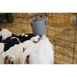 Milk Bar Feeder -PBS Animal Health 12365 4
