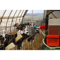 Milk Bar Feeder -PBS Animal Health 12365 5