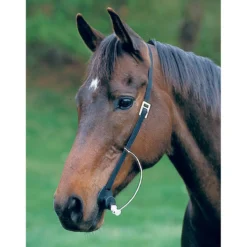 Hamilton Grooma Easy Wormer -PBS Animal Health 12555 3