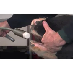 Boehringer Ingelheim Bovikalc Oral Calcium Boluses -PBS Animal Health 13140 3