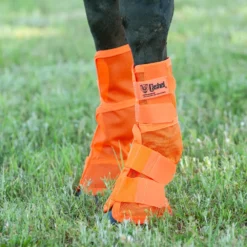 Crusader Leg Guards -PBS Animal Health 13167 4