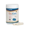 CalCaps Feed Supplement For Beef And Dairy Cattle -PBS Animal Health 13181