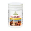 Recovery Equine Extra Strength With HA 2 Recovery Equine Extra Strength With HA -PBS Animal Health 13208