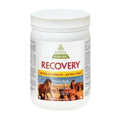 Recovery Equine Extra Strength With HA