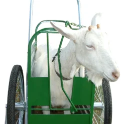 Caf-Cart Headlock -PBS Animal Health 13305 2