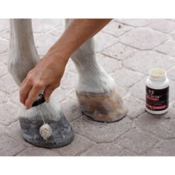 Sav-A-Hoof Protectant For Horses -PBS Animal Health 13560 3