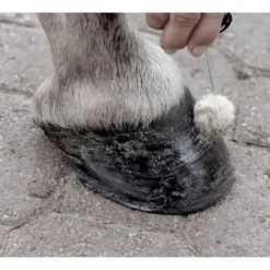 Sav-A-Hoof Protectant For Horses -PBS Animal Health 13560 4