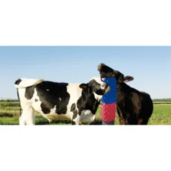 The Original Itchin' Post Animal Grooming Pad -PBS Animal Health 13648 10