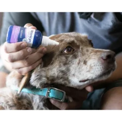 Vetericyn Plus Antimicrobial Eye Wash 7 Vetericyn Plus Antimicrobial Eye Wash -PBS Animal Health 13729 2
