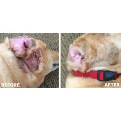 Vetericyn Plus Wound & Skin Care Antimicrobial Hydrogel -PBS Animal Health 13731 2