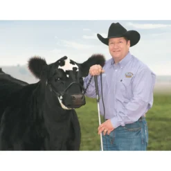 Stierwalt Black Magic And Brown Bombshell Show Halter -PBS Animal Health 13747 4