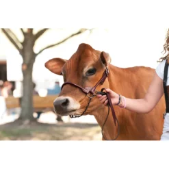 Stierwalt Black Magic And Brown Bombshell Show Halter -PBS Animal Health 13747 6