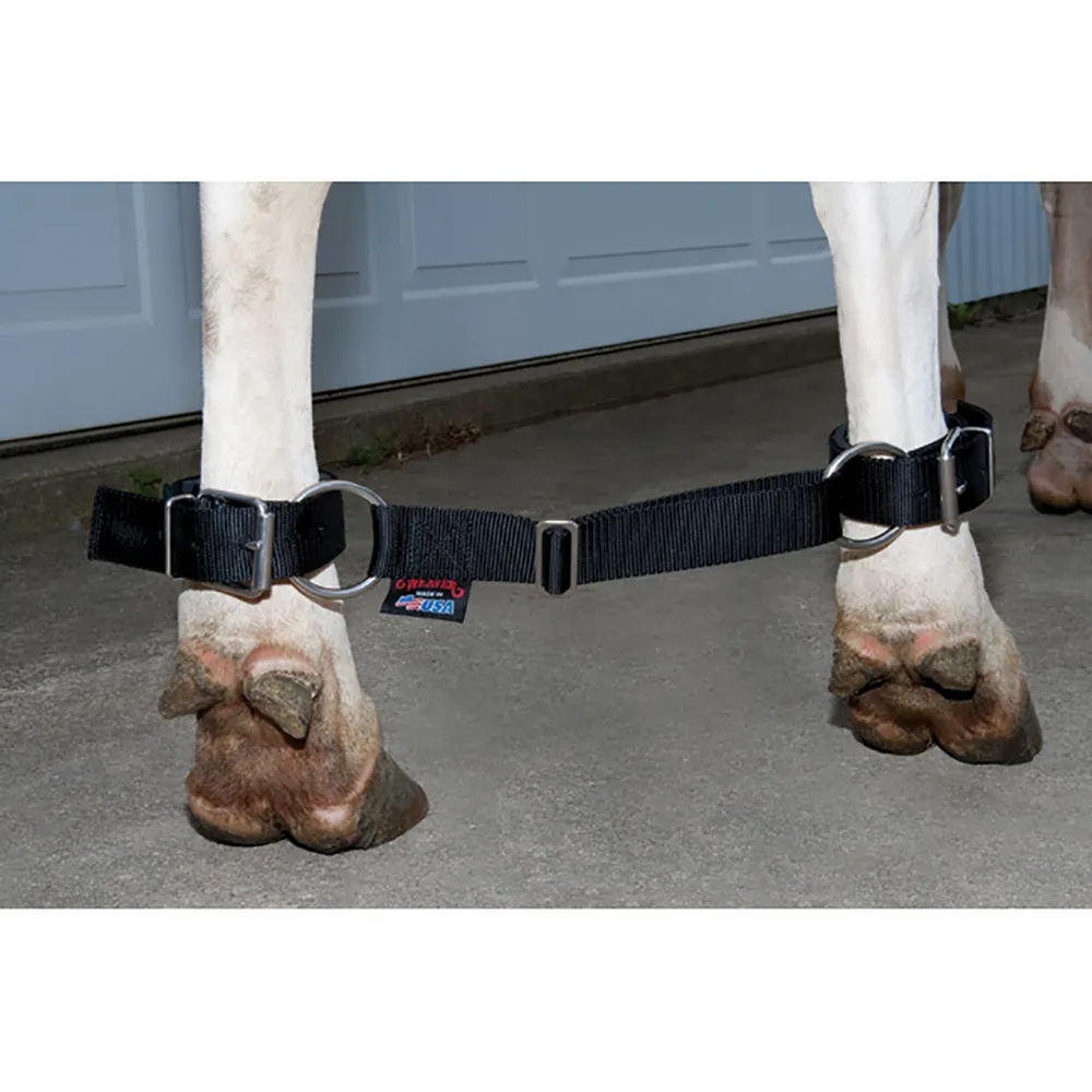 Deluxe Adjustable Cow Hobble 4 Deluxe Adjustable Cow Hobble - Image 2
