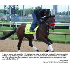 LubriSyn HA Joint Supplement For Horses And Pets -PBS Animal Health 13895 2