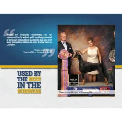 LubriSyn HA Joint Supplement For Horses And Pets -PBS Animal Health 13895 3