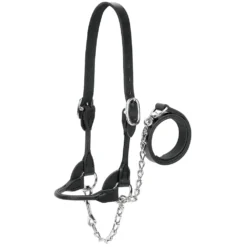 Dairy And Beef Rounded Show Halter