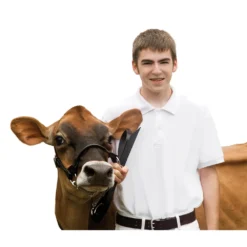 Dairy And Beef Rounded Show Halter 9 Dairy And Beef Rounded Show Halter -PBS Animal Health 13898 3