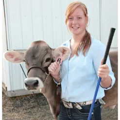 Dairy And Beef Rounded Show Halter 10 Dairy And Beef Rounded Show Halter -PBS Animal Health 13898 4