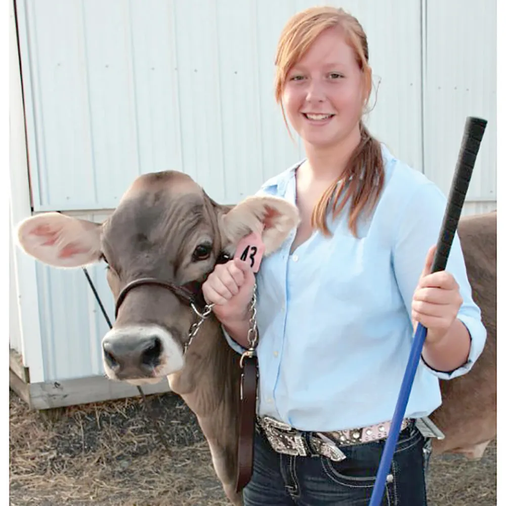 Dairy And Beef Rounded Show Halter 6 Dairy And Beef Rounded Show Halter - Image 4