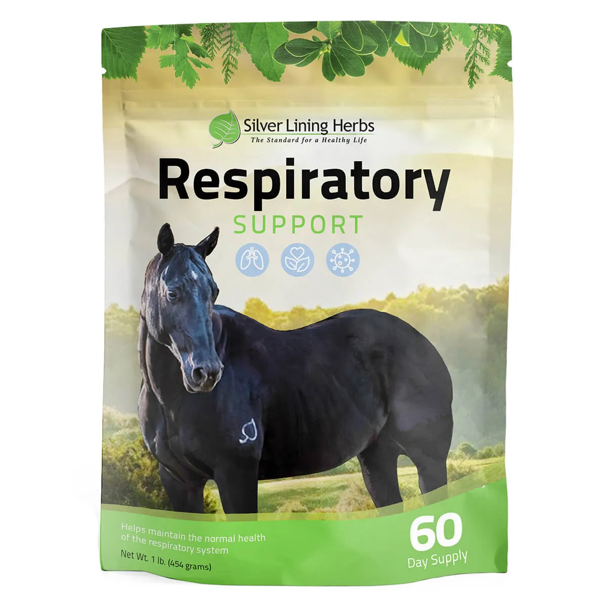 Respiratory Support For Horses 3 Respiratory Support For Horses