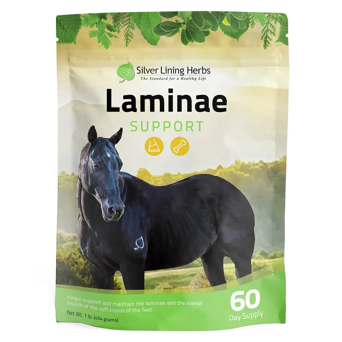 Laminae Support For Horses 3 Laminae Support For Horses
