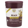 Reach Joint Supplement -PBS Animal Health 14178