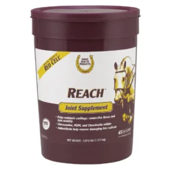 Reach Joint Supplement