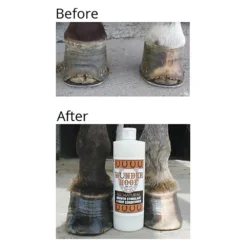 Wunder Hoof All Natural Stimulant And Hoof Conditioner 7 Wunder Hoof All Natural Stimulant And Hoof Conditioner -PBS Animal Health 14216 3