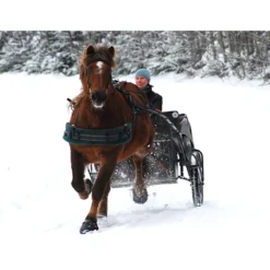 Cavallo Simple Regular Sole Horse Boots -PBS Animal Health 14389 6