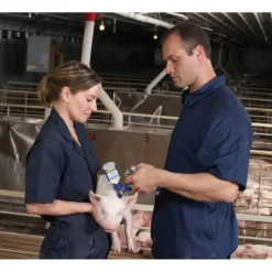 ZOETIS Fostera Gold PCV Swine Vaccine -PBS Animal Health 14577 3