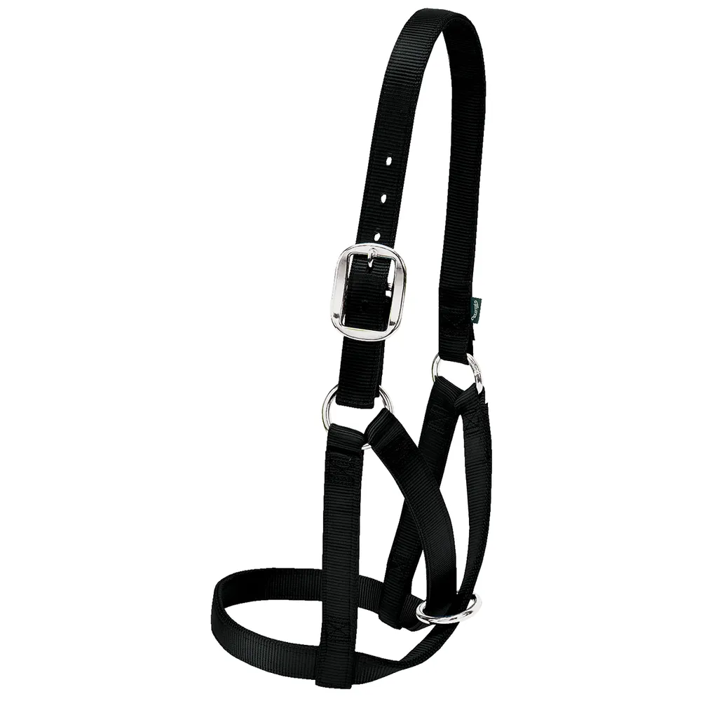 Nylon Cattle Halter 3 Nylon Cattle Halter