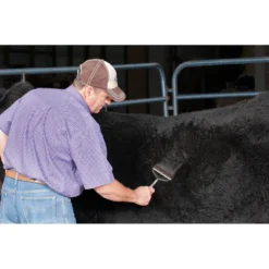 Shedding Comb -PBS Animal Health 14667 3