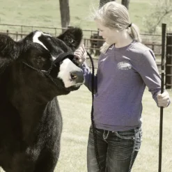 Noseband Covers -PBS Animal Health 14746 3