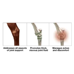 Soundhorse Viscosity -PBS Animal Health 14780 2