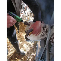 Express Pistol-Grip Dehorner And Debudder 7 Express Pistol-Grip Dehorner And Debudder -PBS Animal Health 14883 3