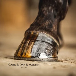 Cornucrescine Tea Tree Hoof Oil For Horses -PBS Animal Health 14995 3