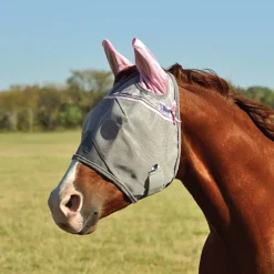Crusader Standard Nose Pasture Fly Mask With Ears -PBS Animal Health 15121 3