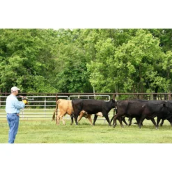 VetGun III Insecticide Delivery System -PBS Animal Health 15125 6