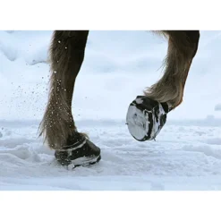 Cavallo Simple Slim Sole Horse Boots -PBS Animal Health 15189 5