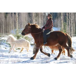 Cavallo Simple Slim Sole Horse Boots -PBS Animal Health 15189 6